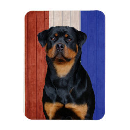 Imán Rottweiler