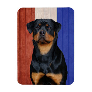 Imán Rottweiler