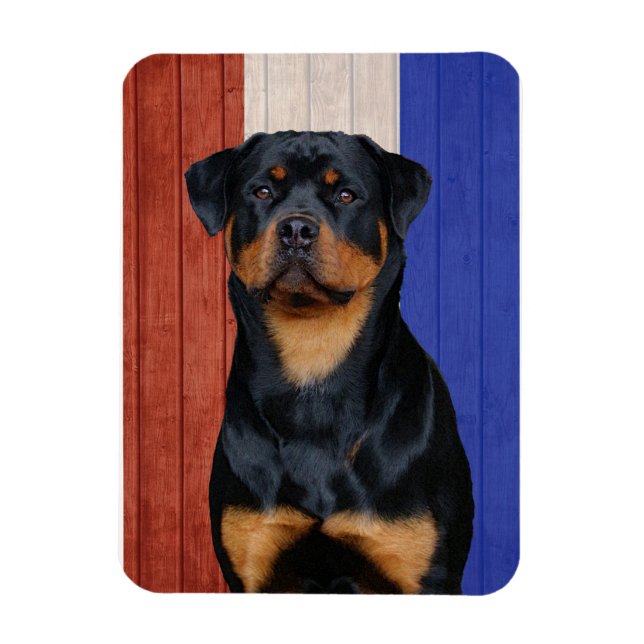 Imán Rottweiler (Vertical)