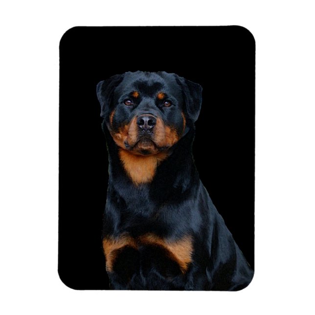 Imán Rottweiler (Vertical)