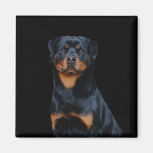 Imán Rottweiler