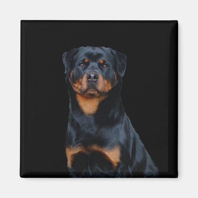 Imán Rottweiler (Frente)