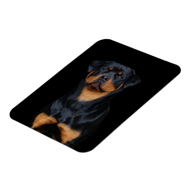 Imán Rottweiler (Lado Izquierdo)