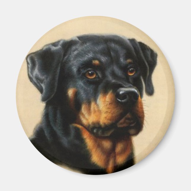 Imán Rottweiler (Frente)