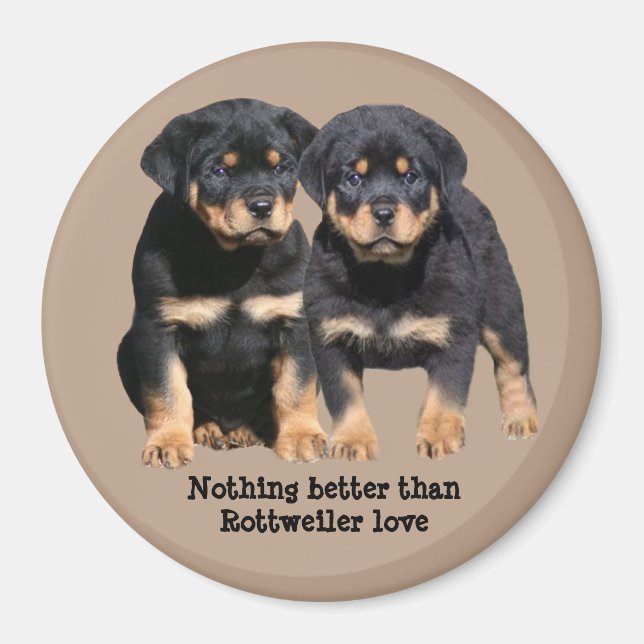 Imán Rottweiler Buddies Magnet (Frente)