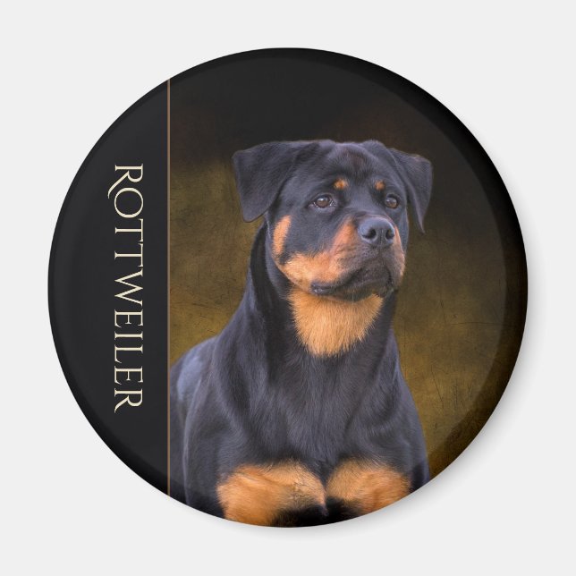 Imán Rottweiler Fridge Magnet (Frente)