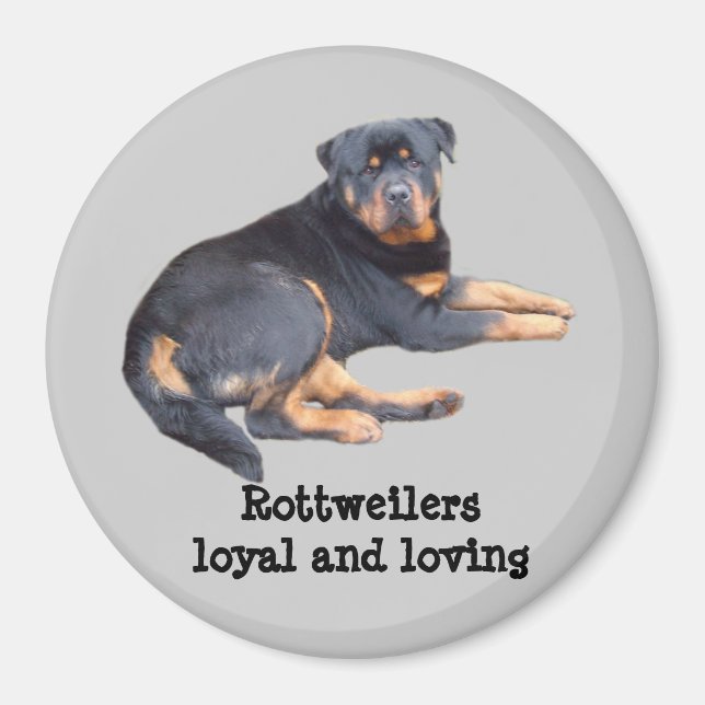 Imán Rottweiler Magnet (Frente)