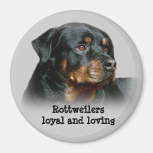 Imán Rottweiler Magnet