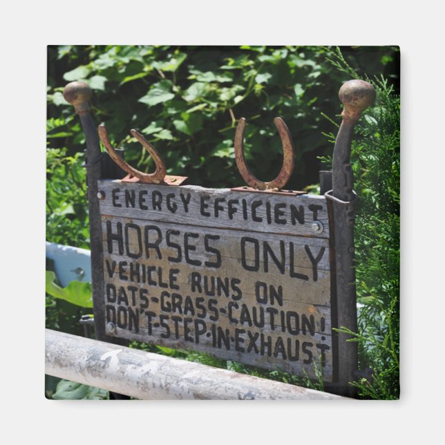 Imán Rótulo de estacionamiento de Amish (Frente)