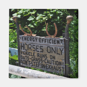 Imán Rótulo del estacionamiento de Amish