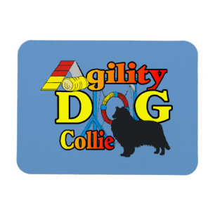 Imán Rough Collie Agility