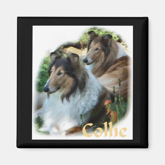 Imán Rough Collie Art Gifts (Frente)