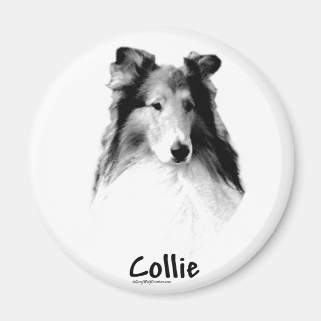 Imán Rough Collie Charcarbón (Frente)