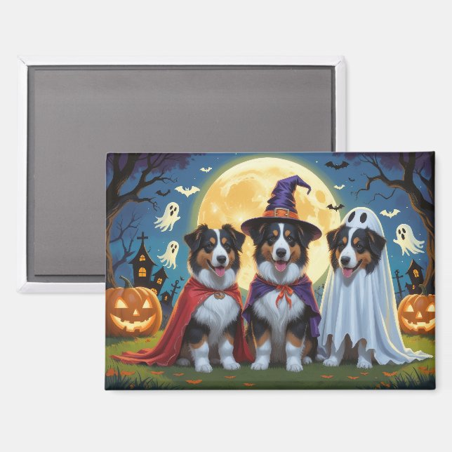 Imán Rough Collie Dogs Pumpkin Halloween Funny (Anverso/Reverso)