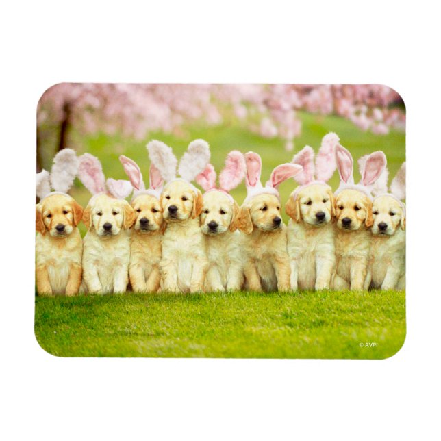 Imán Row of Puppy Bunnies (Horizontal)