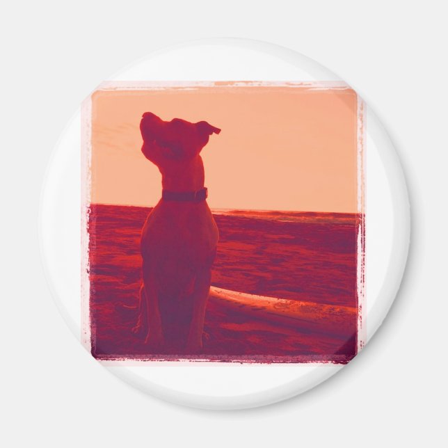 Imán Roxy Foto de Daniela (Frente)