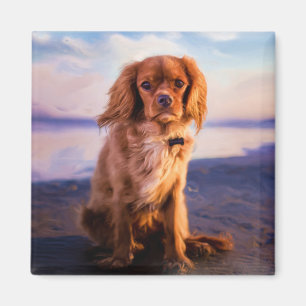 Imán Ruby Cavalier King Charles Spaniel al atardecer