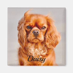 Imán Ruby Cavalier King Charles Spaniel Dog