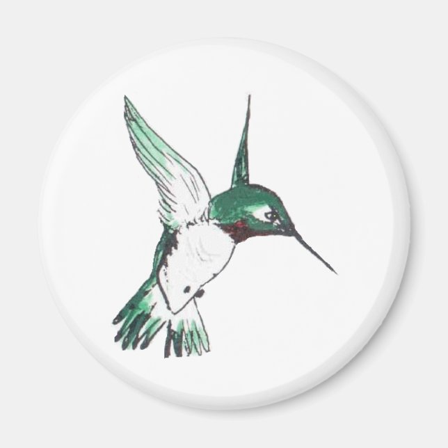 Imán Ruby Throat Magnet (Frente)