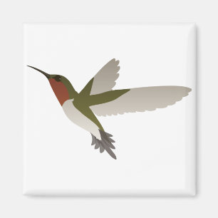 Imán Ruby Throed Hummingbird