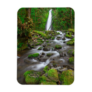 Imán Ruckel Creek Falls, desfiladero del río Columbia O