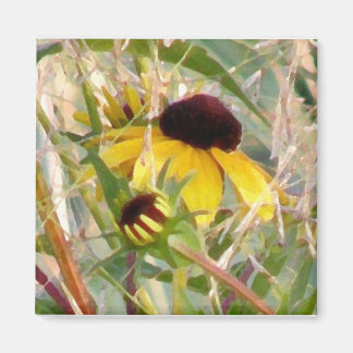 Imán Rudbeckia y Co