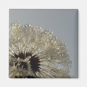 Imán Rueda de gotitas