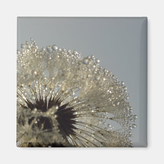 Imán Rueda de gotitas (Frente)