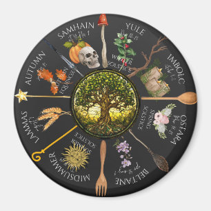 Imán Rueda magnética del año