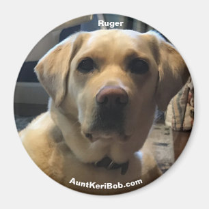Imán Ruger Magnet
