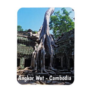 Imán Ruina de Ta Prohm - Angkor Wat, Camboya, Asia