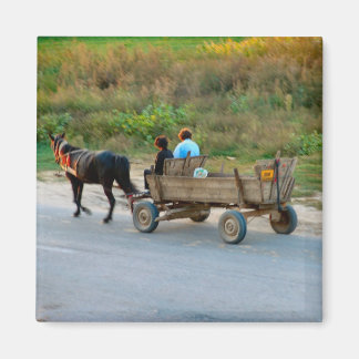 Imán Rumania, transporte de caballos y carros