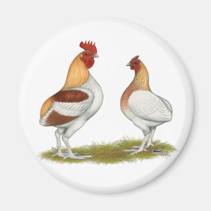 Imán Rumpidos de Manx