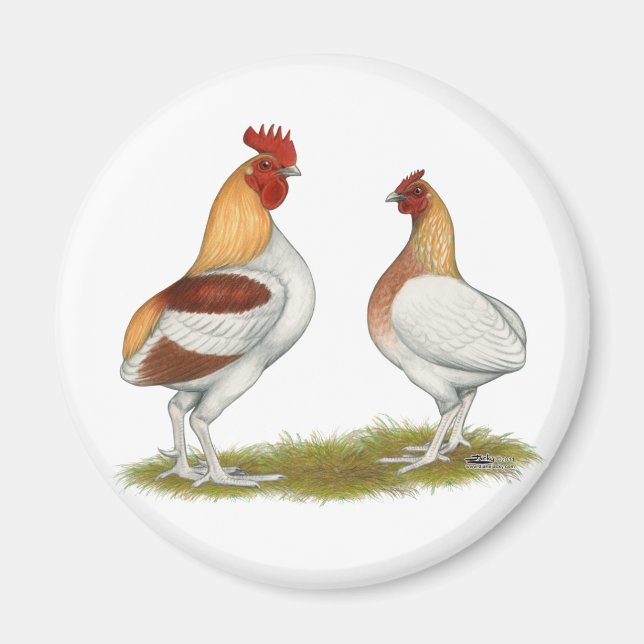 Imán Rumpidos de Manx (Frente)