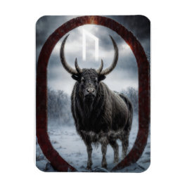Imán Rune Uruz