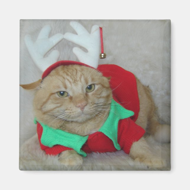 Imán Rusty the Reindeer Elf (Frente)
