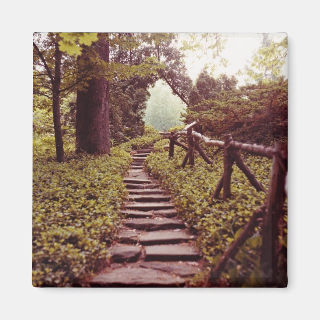 Imán Ruta a la luz (Frente)