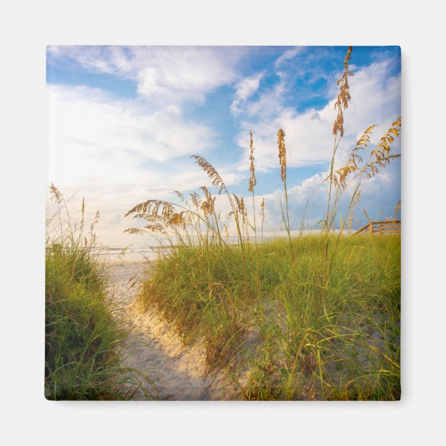 Imán Ruta a la playa (Frente)