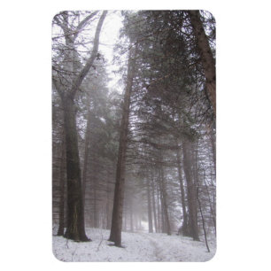 Imán Ruta de los bosques de invierno