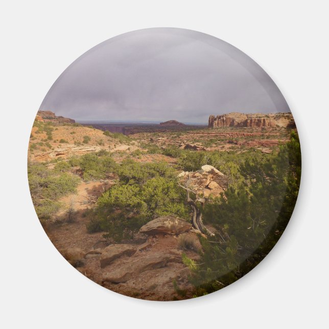 Imán Ruta de los manantiales de cuello en el Parque Nac (Frente)