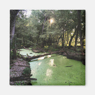 Imán ruta de puntos de arena