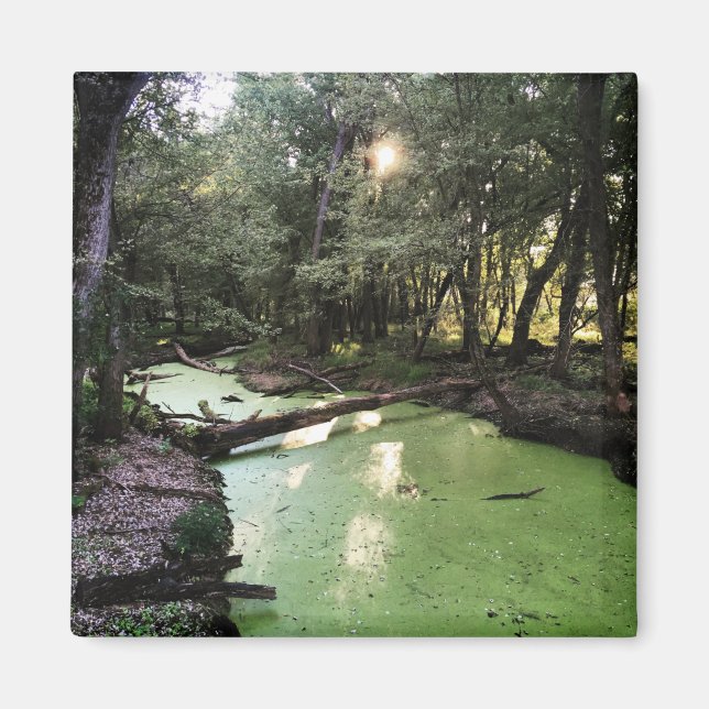 Imán ruta de puntos de arena (Frente)