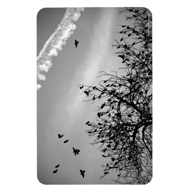 Imán Ruta de vuelo (Vertical)