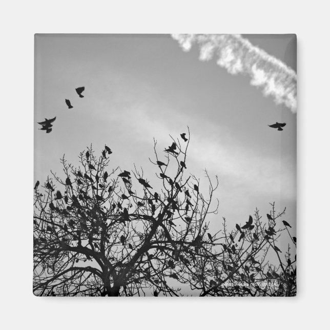 Imán Ruta de vuelo (Frente)