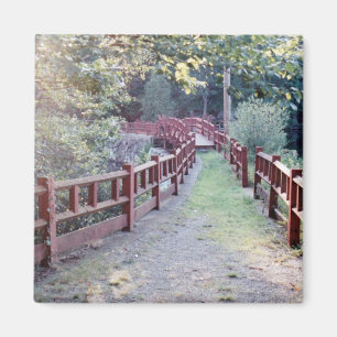 Imán Ruta desconocida