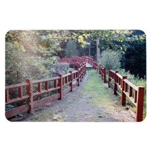 Imán Ruta desconocida