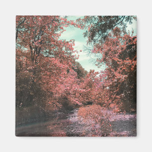 Imán Ruta panorámica de caída