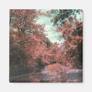 Imán Ruta panorámica de caída