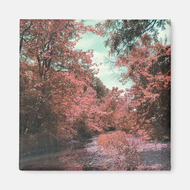 Imán Ruta panorámica de caída (Frente)