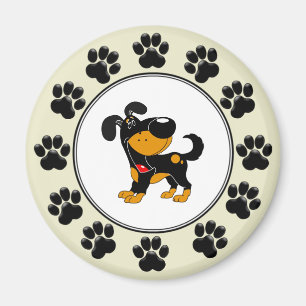 Imán Rutas de cambios